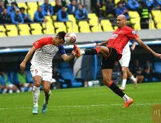 风云突变成都蓉城赛后伤情更新，意甲版图或变，态度坚定，阵容厚度经受考验