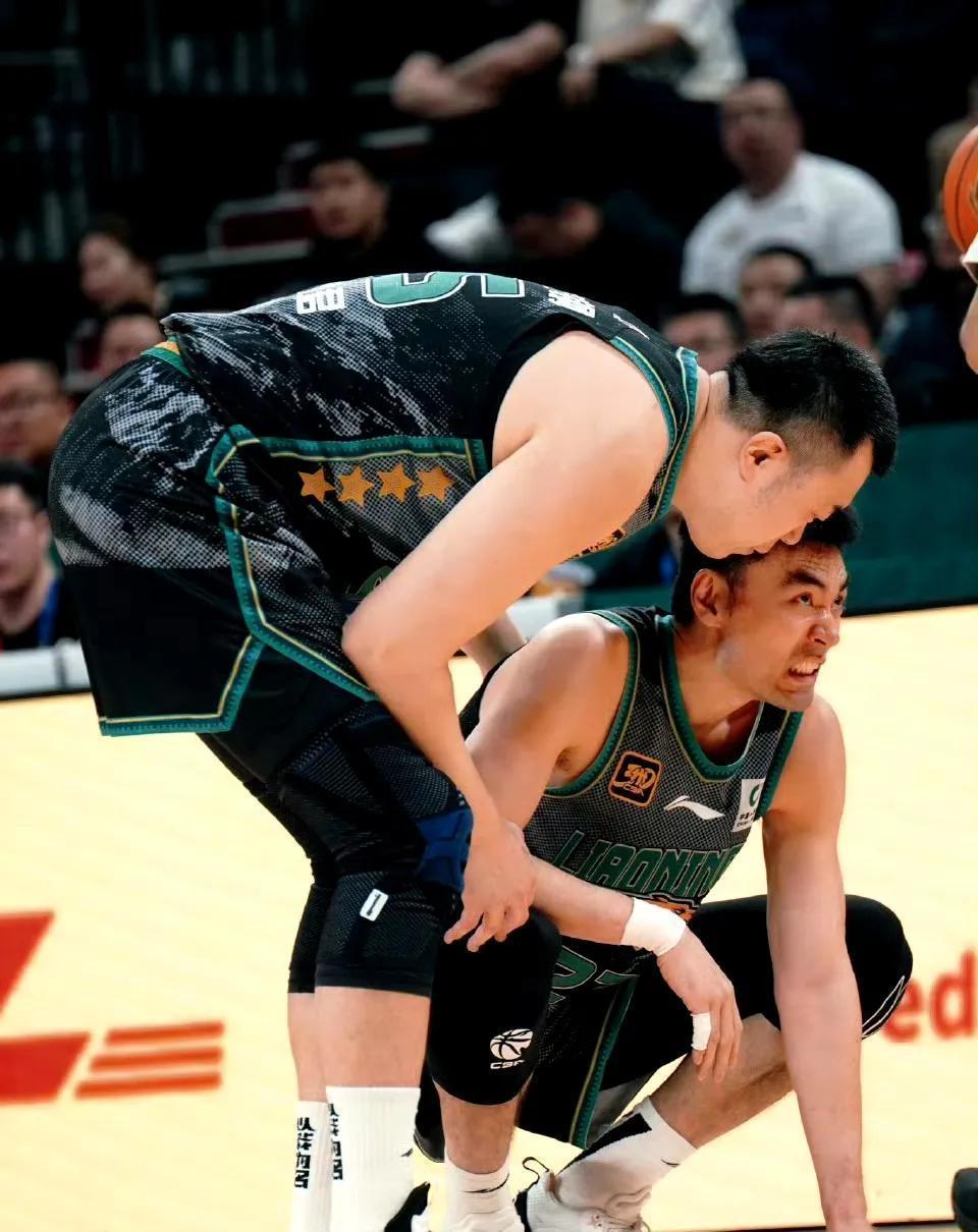 carnivorous中文翻译